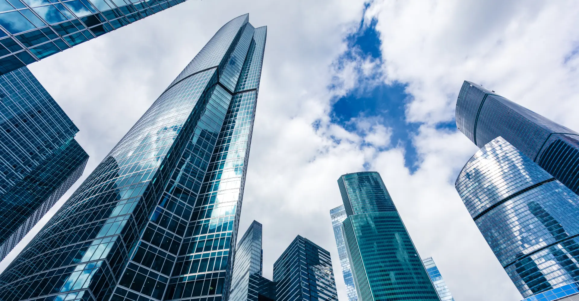 Spółka z ograniczoną odpowiedzialnością