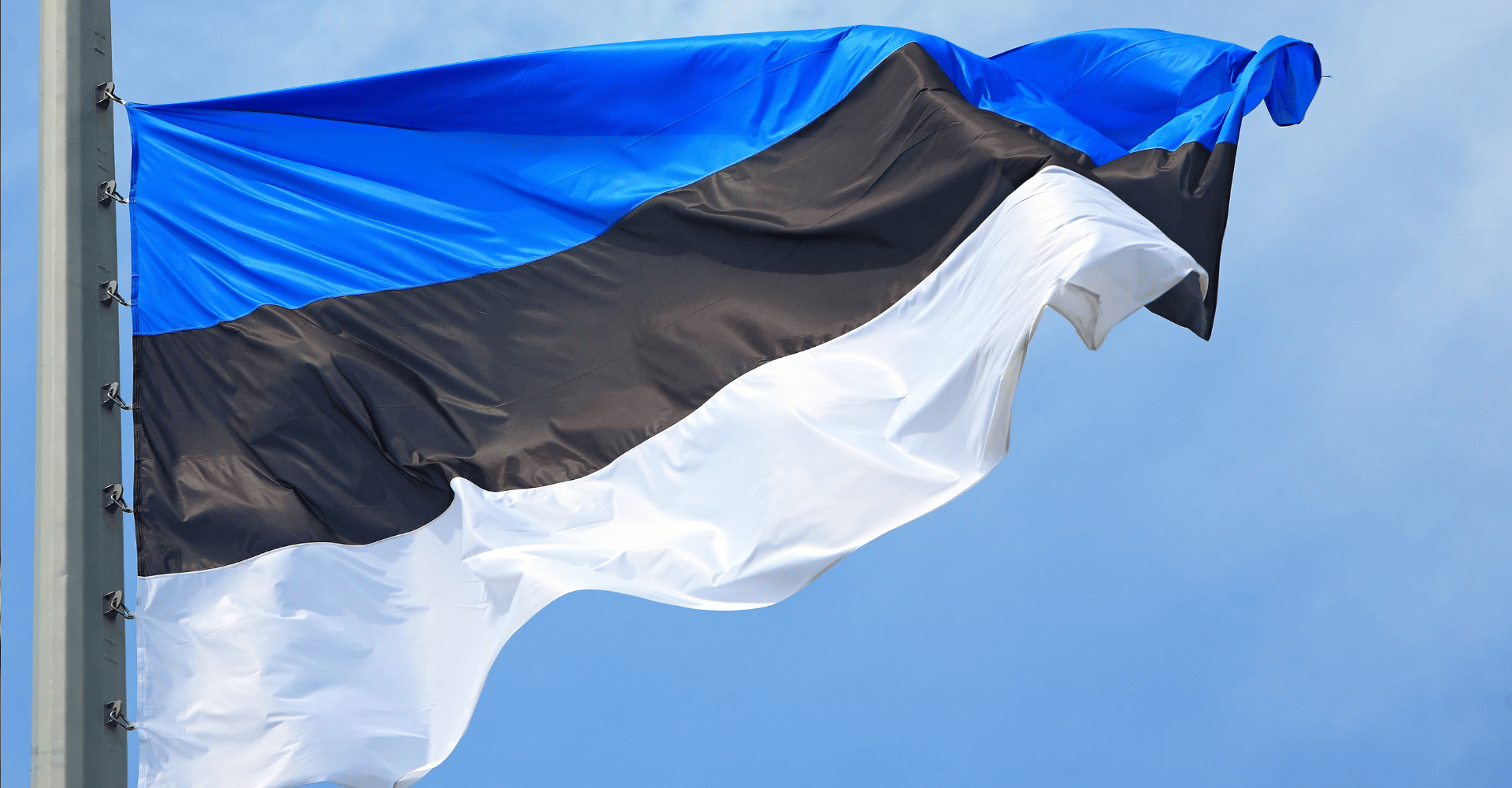 Obrazek przedstawiający flagę estonii powiewającą na wietrze